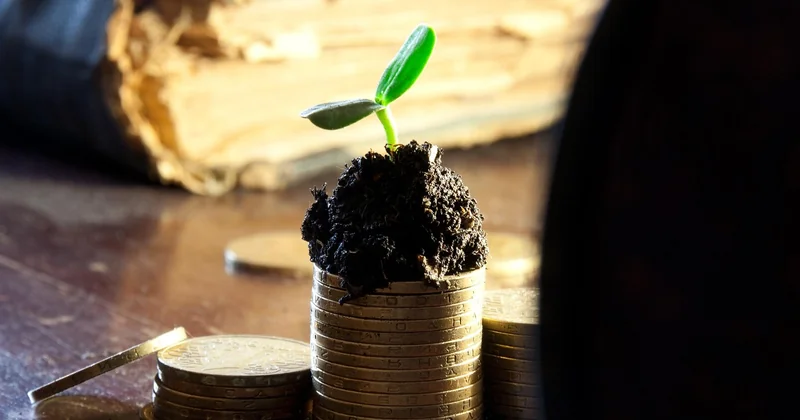 What are the 7 stages of a startup?