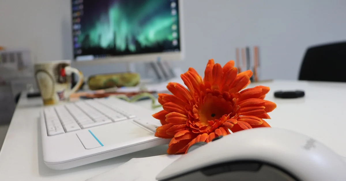 Productivity Tips